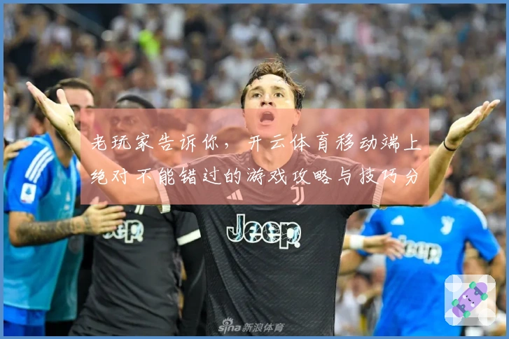 老玩家告诉你，开云体育移动端上绝对不能错过的游戏攻略与技巧分享！