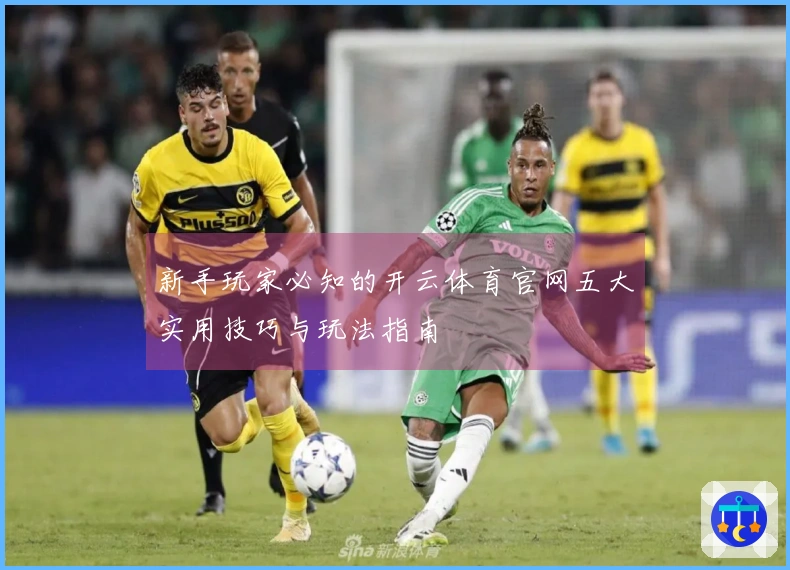 新手玩家必知的开云体育官网五大实用技巧与玩法指南